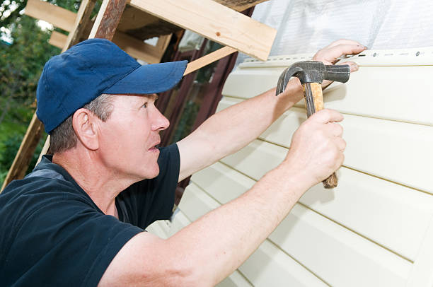 Affordable Siding Repair and Maintenance Services in Williamstown, WV